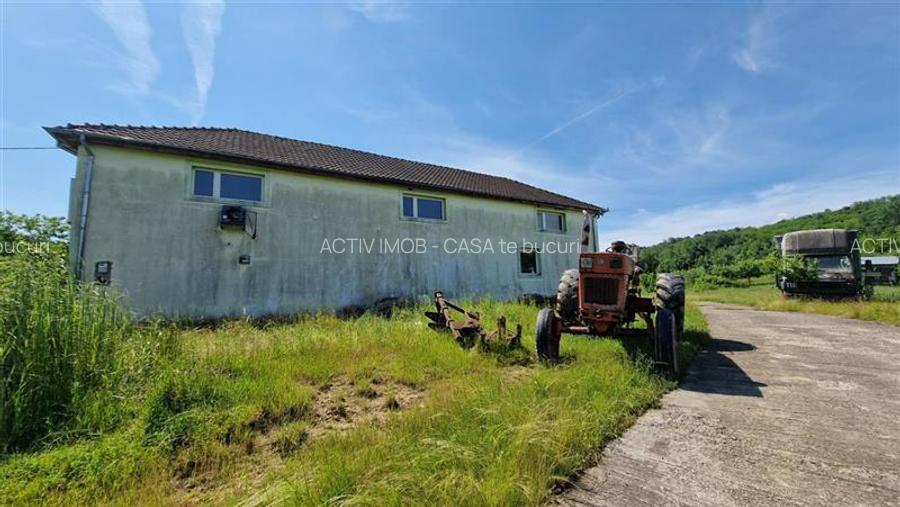 Farliug Casa sau Afacere 125 000 euro.Comision ZERO Cumparator - 5