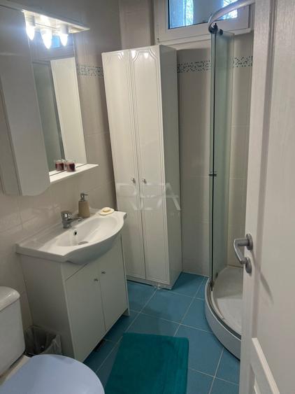 Apartmaent 2 camere , mobilat complelt - Ion Mihalache