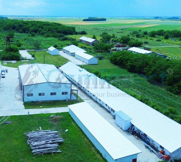 Hala de vanzare cu exclusivitate, la 24 km de Oradea, in Salard, Bihor