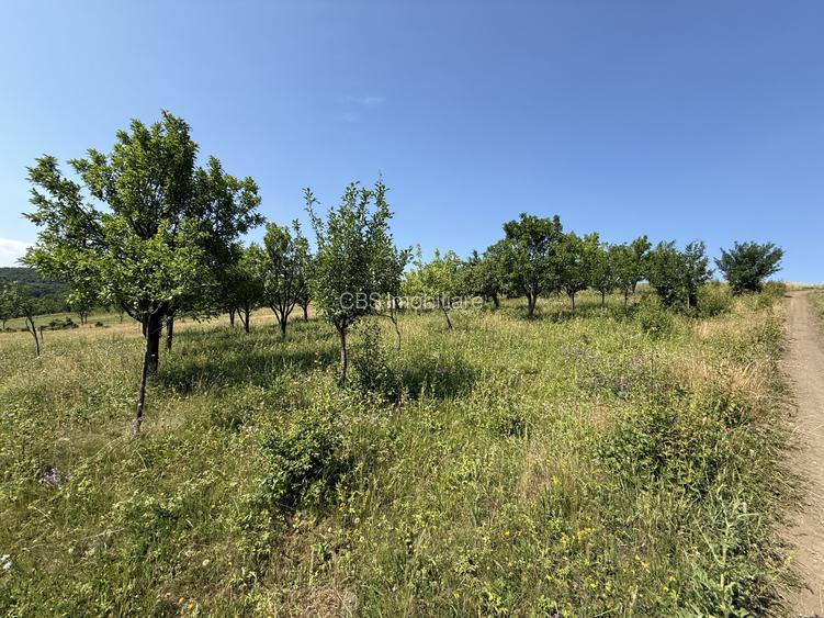 Exclusivitate! Com0%! Teren în Dezmir 5800mp Intravilan/Extravilan front 16,2ml - 3