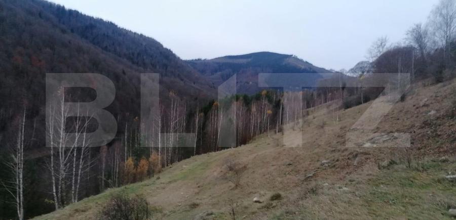Teren 14 ha compact langa Lacul Tau Bistra