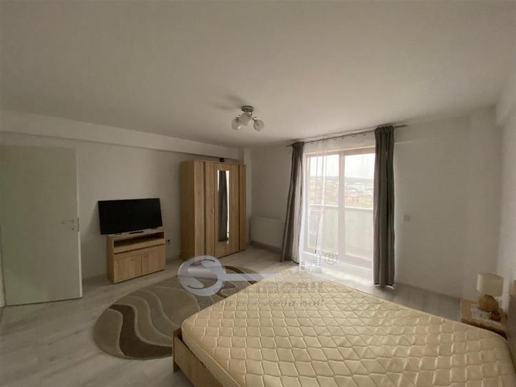 Apartament 1 camera Bucium