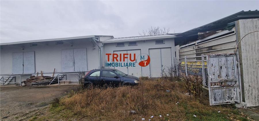 Oportunitate de Achiziție: Spațiu Industrial în Alba Iulia