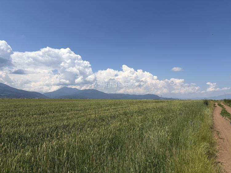 Teren extravilan de vânzare - 4300 mp - Tărlungeni, Brașov - 4