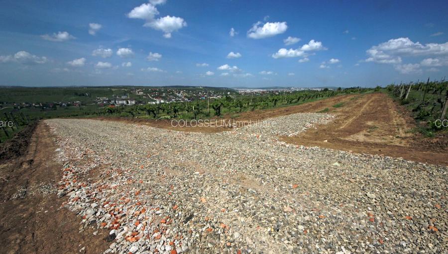 Teren de vanzare,  la 1,3km de LIDL Bucium, vecinatate cartier Panoramic - 3