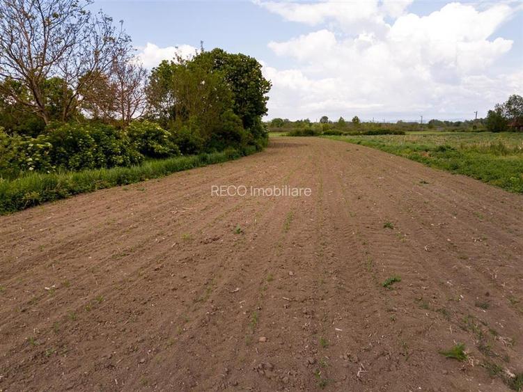 RECO Teren intravilan Holod - 5