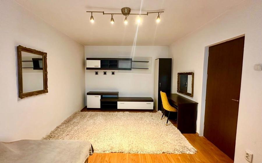 Apartament 2 camere Tineretului vis a vis de parc