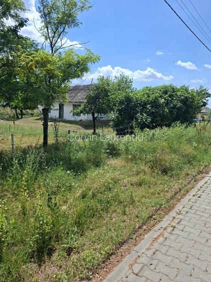 Teren intravilan de vanzare, SITUAT LA FALEZA , in localitatea CRISAN din DELTA  - 7