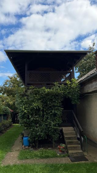 Casa de vinificatie in Viile Tieamului Carei