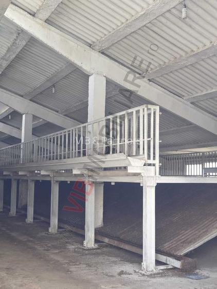 *Fermă modernă export miei | 6 ha | Standarde europene ,Brăila* - 11