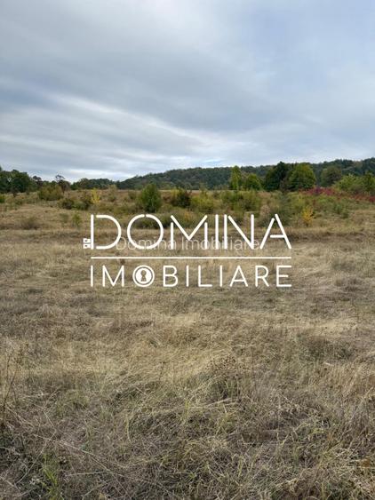 Vânzare teren 13.000 mp - Runcu-Suseni - oportunitate turistică - 5