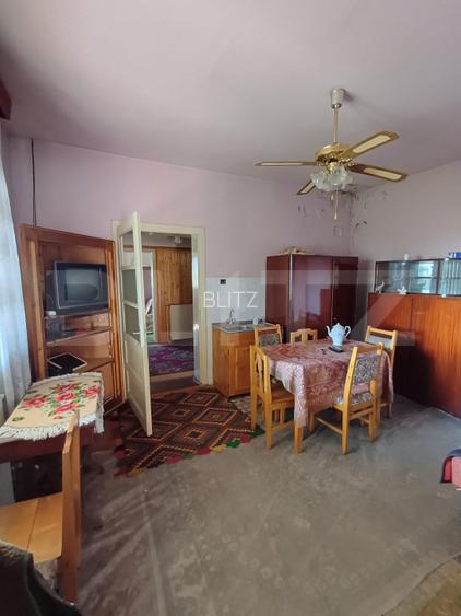 Casa renovabila cu 11508 mp teren, in Copaceni - 7
