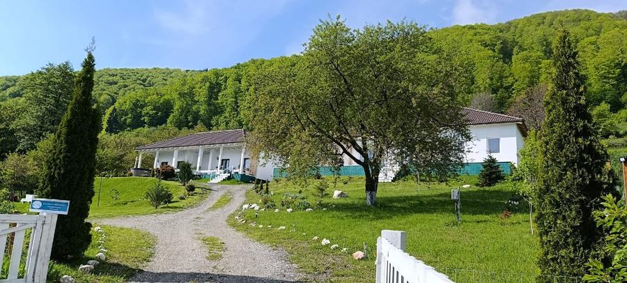 Proprietate speciala in Bran-Predelut cu 2 case, priveliște panoramica 180*