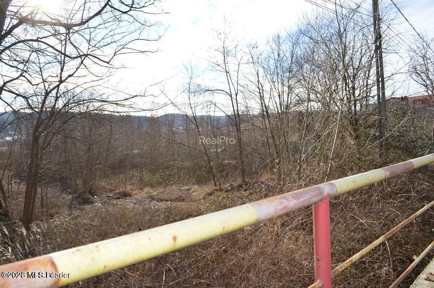 Valea Ursului - DN 7, Teren Stradal 2744 mp - 11