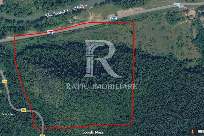 Teren Extravilan de vânzare | Șoimi | Bihor