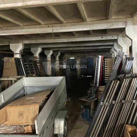 Complex industrial/Ferma de vânzare | Orțișoara, jud. Timiș - 19