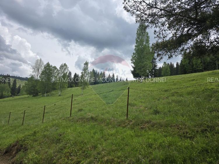 Teren 5,034mp Iacobeni / Strada GARII - 5