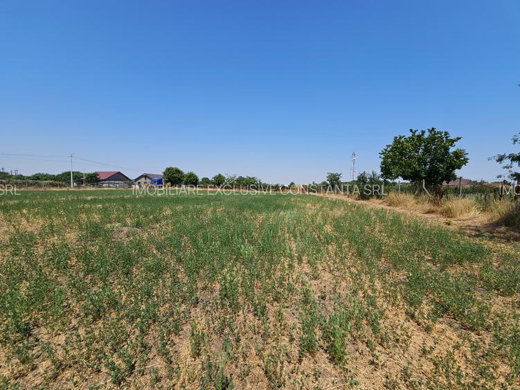 Teren 5.465 mp intravilan și front stradal – Topraisar, Constanța Comision Zero - 24