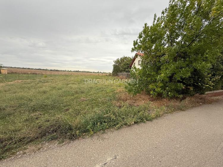 Teren intravilan 610 mp in Padurisu- Frumusani, aproape de Bucuresti - 3