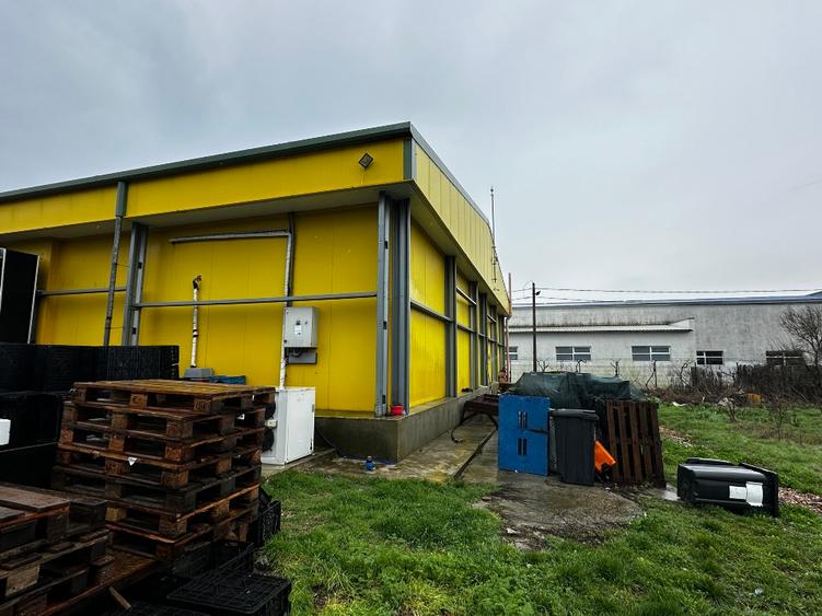 Fabrica de procesare peste si crustacee - Proprietatea Imobiliară Industrială