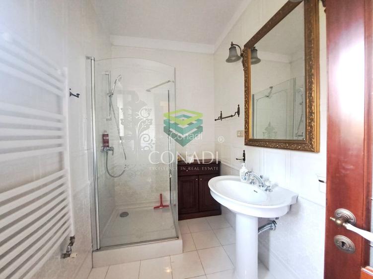 Zona Casin-Domenii, vila de inchiriat, 254 mp utili - 13