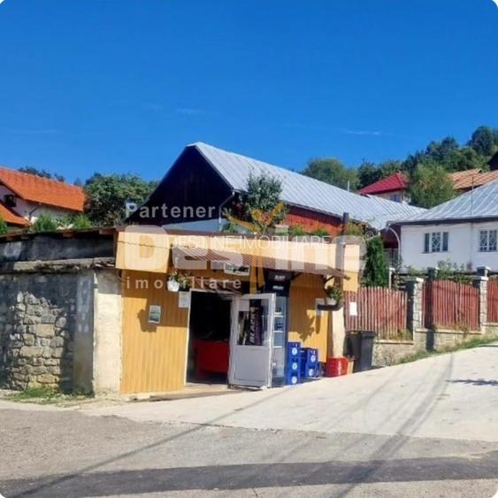 VAND CASA IN LOCALITATEA VALEA DOFTANEI - 8