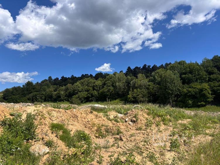 Teren 1200 mp, zona Wonderland!