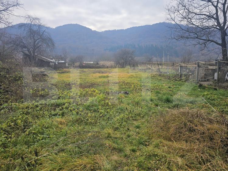 Teren de vanzare Nasaud