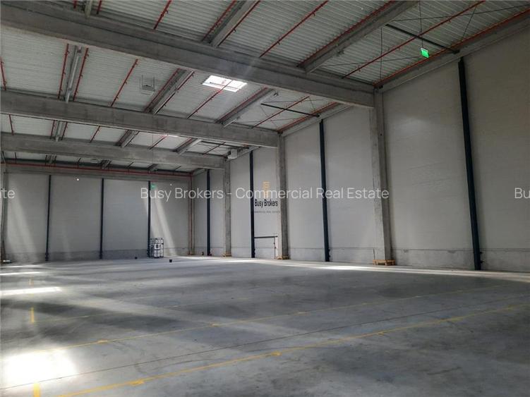 Spatiu Industrial - 4000 mp - Logistica - Productie - Depozitare - Distributie - 21