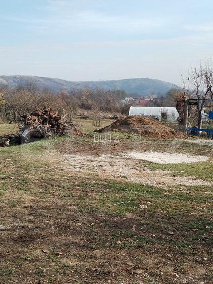 Teren intravilan 21€/mp  suprafața 3360 mp - 5