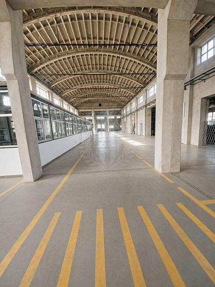 HALA PRODUCTIE 3500MP//ZONA BEREASCA