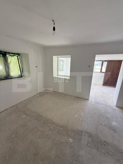 Casa individuala, 60 mp, teren 4459 mp, zona Izvorul Crisului - 10