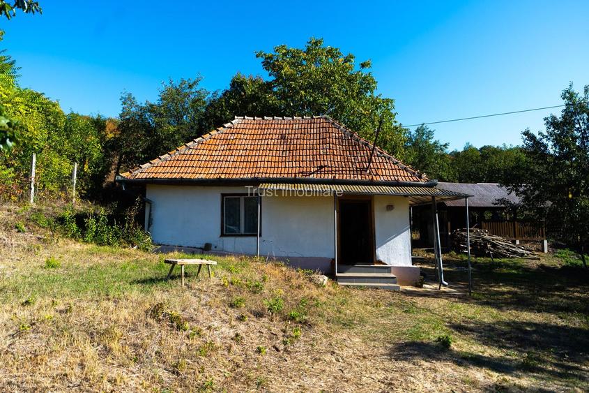 Teren Parcelabil I 11400 MP I Corpadea