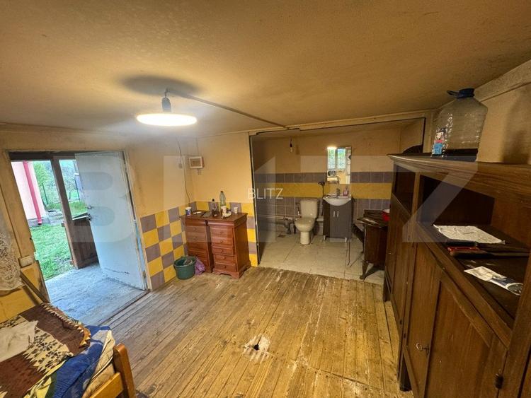 Doua case amplasate 3300 mp teren, Comuna Nimigea Tau - 17
