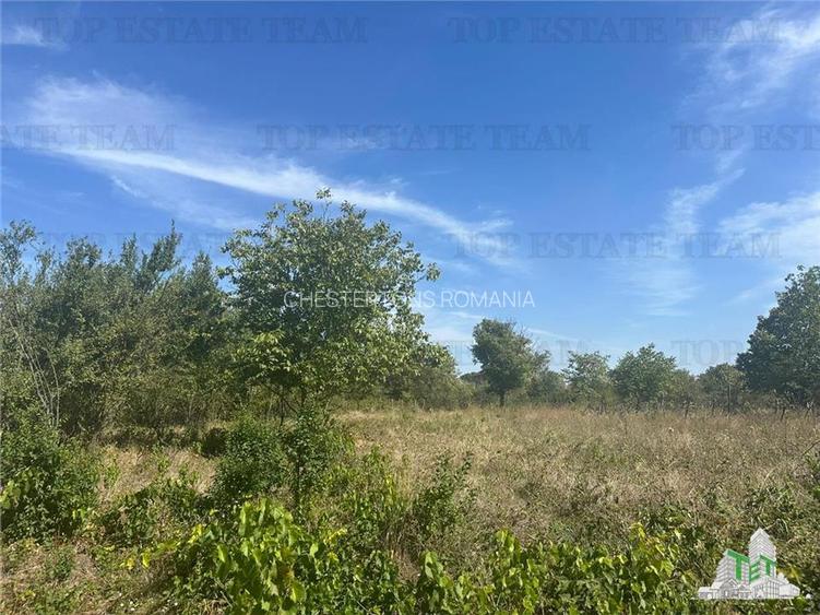 Vanzare teren intravilan construibil in Branesti, Ilfov - 2040 mp, ideal reziden - 3