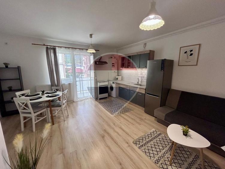 De inchiriat: Apartament 2 camere: Etaj intermediar + Pet-Friendly