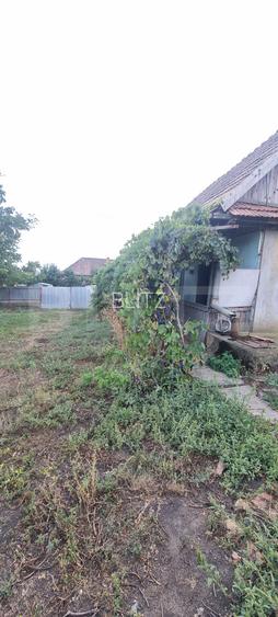 Casa 2 corpuri si anexe, 69 mp, zona Tritenii de Sus - 13