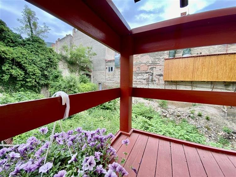 Casa de inchiriat Ultracentral str. Muresenilor cu gradina