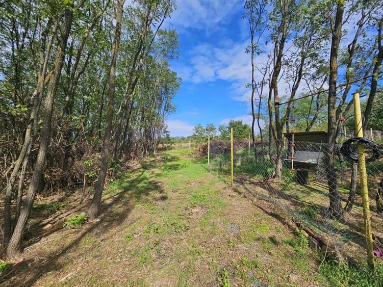 Teren intravilan 904 mp, langa padure - Aroneanu , Iasi