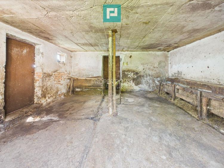Proprietate rară cu 24.270 mp, în Măgulicea, Arad!