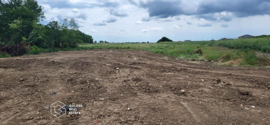 Teren intravilan curti constructii, Sacalaz, Timis
