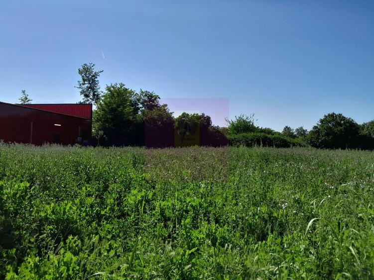 MOVILITA (IL) - SE INCHIRIAZA TEREN LANGA PROFI CU 0.5 EUR/MP/LUNA