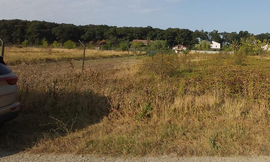 Vanzare 1875 mp teren Snagov, langa padure, zona superba, toate utilitatile