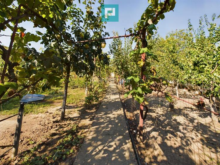 Casă cu teren de 1246 mp în Pârneava - 13