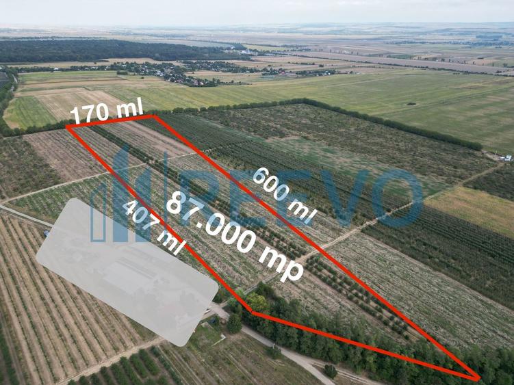 Teren 9 ha, Itești, Bacău
