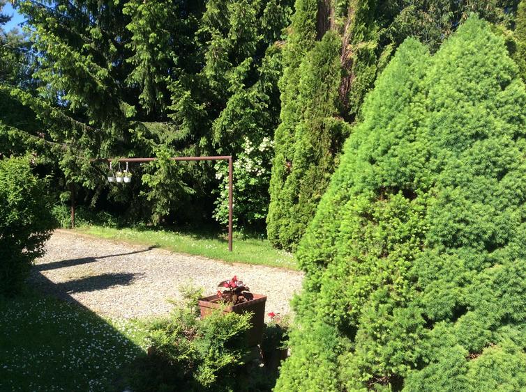 Proprietate de Vânzare în Brebu Nou-Ideală pentru Casă de Vacanță sau Investitie