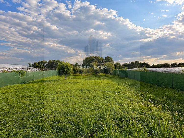 Teren 4.500 mp -Com Vidra - Casa P+M - Livada - Investitie - 6