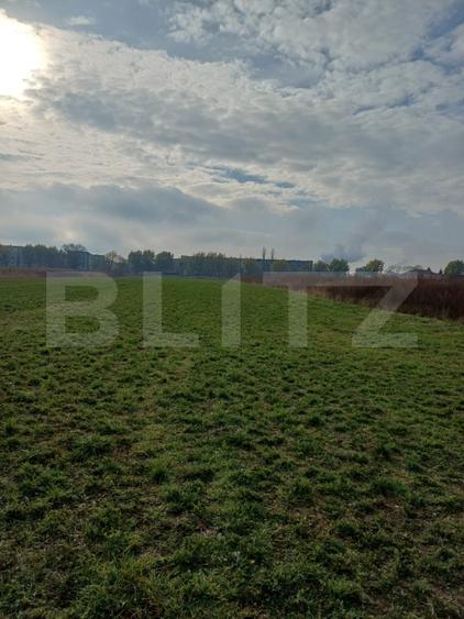 Teren extravilan, 3800 mp, Turda