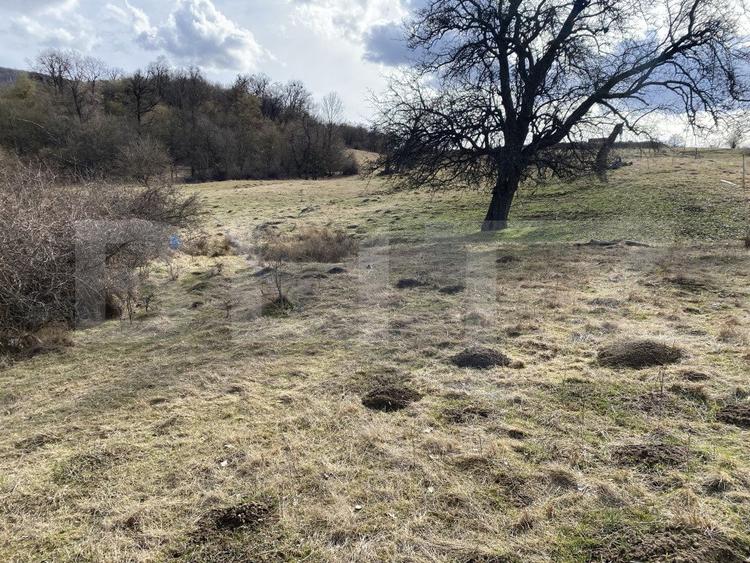 Teren extravilan in suprafata de 7500 mp la poalele Mesesului