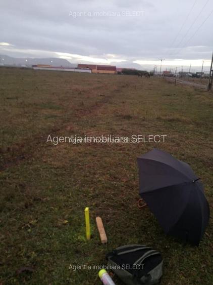 Teren Sanpetru 6300 mp Ocolitoare, posibilitate rate - 5